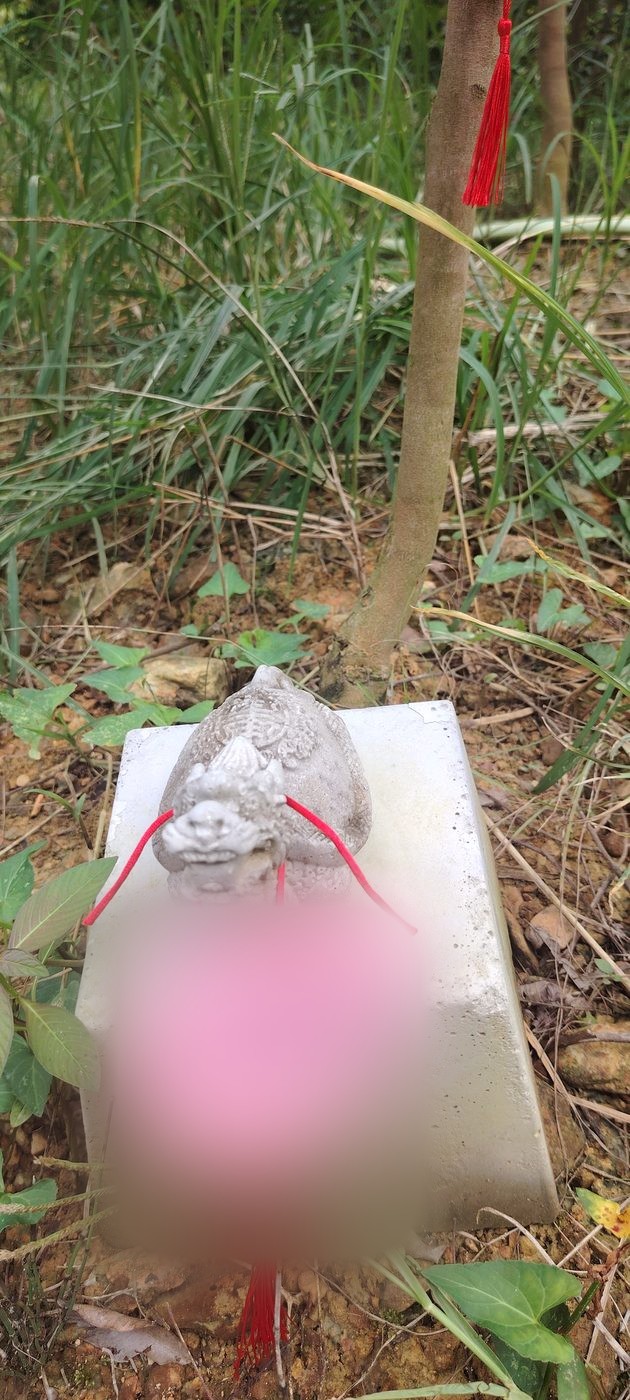 Heart tag on branch