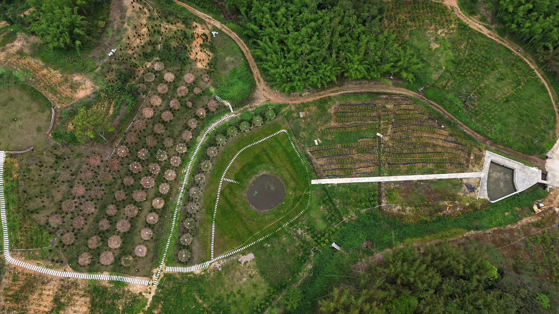 Aerial view of the array